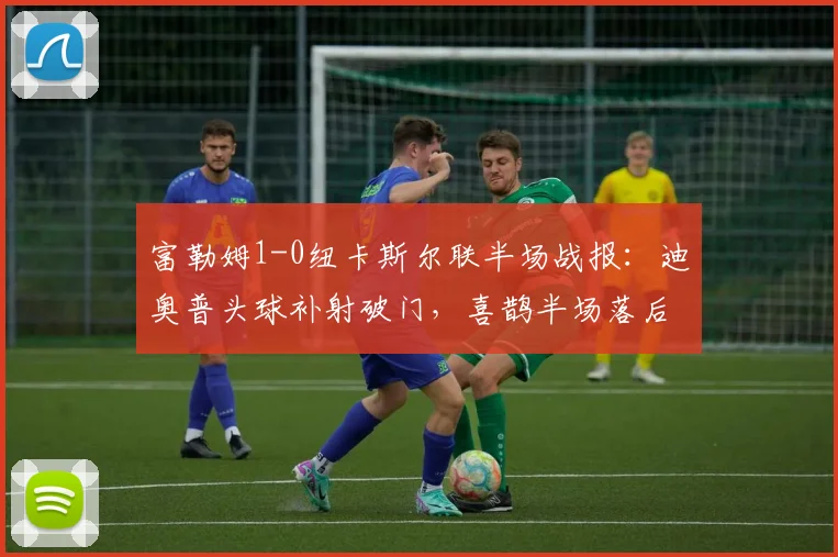 富勒姆1-0纽卡斯尔联半场战报:迪奥普头球补射破门,喜鹊半场落后
